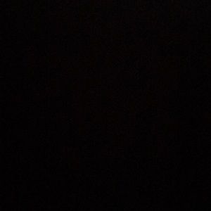 Meet your Posher, Dylan